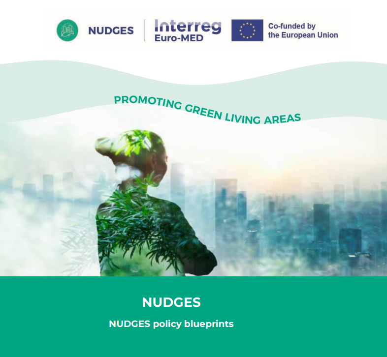 NUDGES policy blueprints